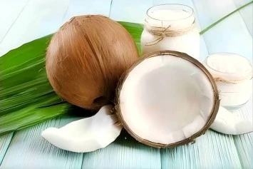 Sơ chế dừa-Chế biến: Bước đầu tiên để nâng cao chất lượng sản phẩm dừa